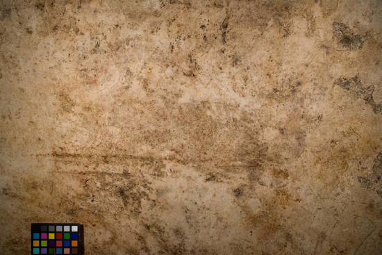 White Tiger on the West Wall