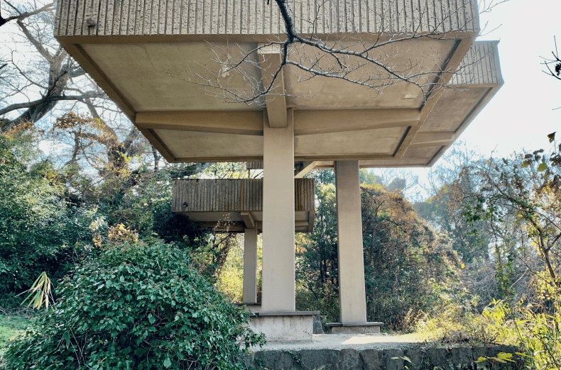 10_軒裏を見上げる