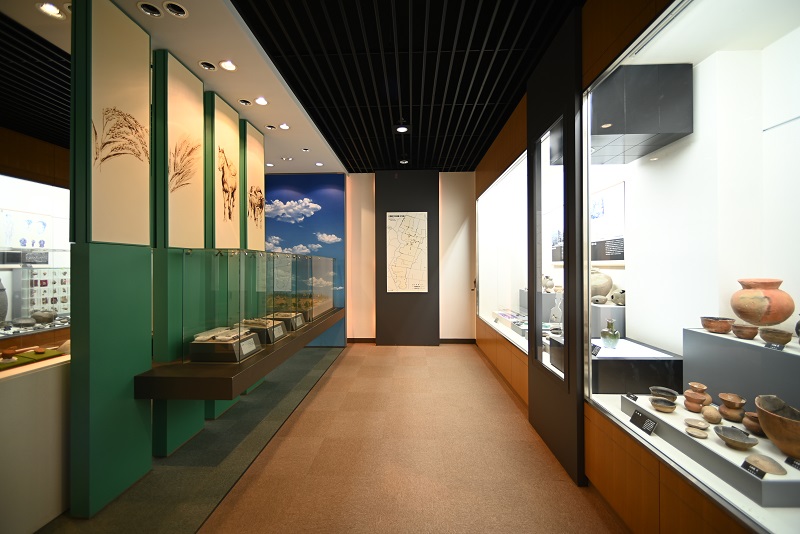 13_内観　展示室