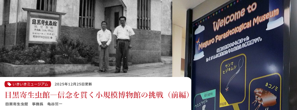 市民とつながり、ふるさとまるまるが博物館（後編）