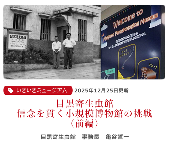 市民とつながり、ふるさとまるまるが博物館（後編）