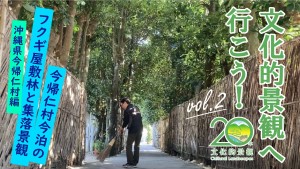 第2回 今帰仁村今泊のフクギ屋敷林と集落景観(沖縄県今帰仁村編) 第2回 今帰仁村今泊のフクギ屋敷林と集落景観(沖縄県今帰仁村編)