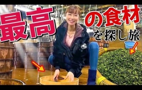 西尾の碾茶食紹介 西尾の碾茶食紹介(youtube動画のサムネイル画像)