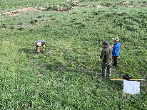 キルギスにおけるジョージア人専門家を対象とした考古学実習（令和5年度，写真提供：帝京大学）